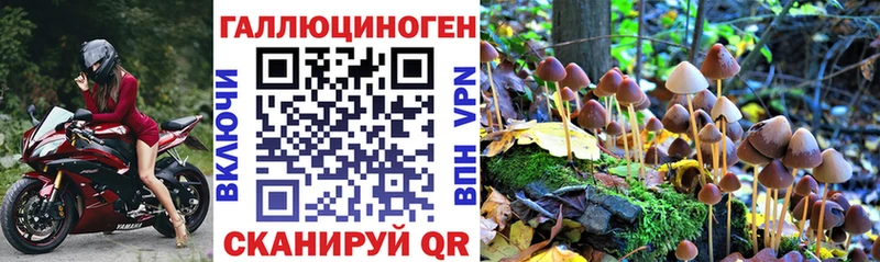 Галлюциногенные грибы Cubensis  Павловская 
